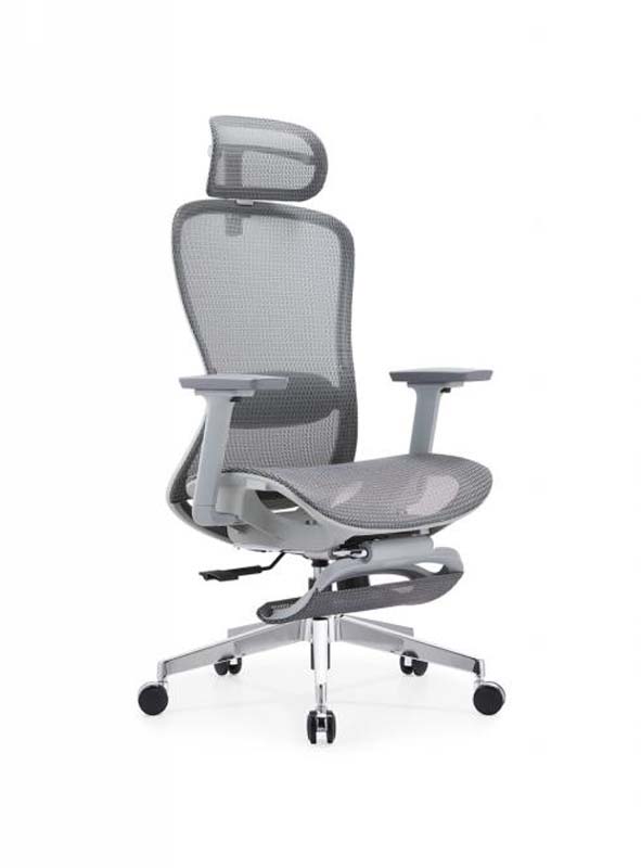 Grey Mesh Ergonomic Office Chair with Headrest and Sliding Footrest EM-GMESH-FT01
