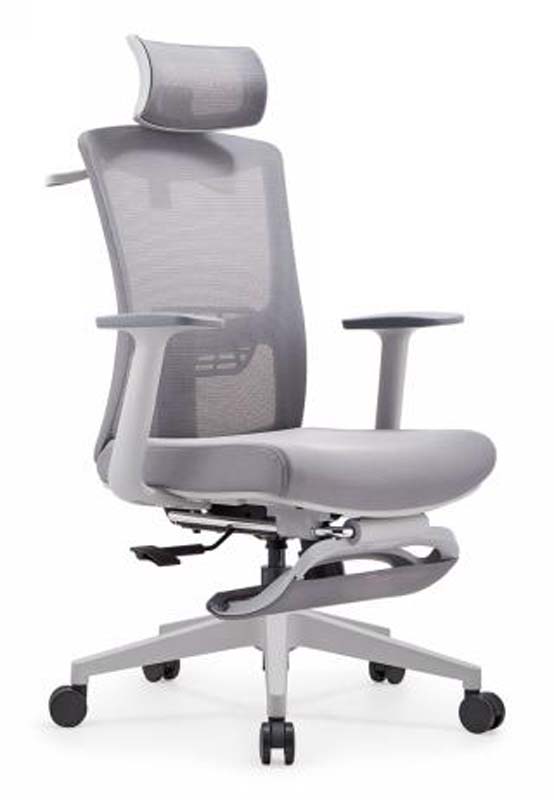 Gray Mesh Ergonomic Executive Office Chair with Headrest EOCH-GRY-MESH-01