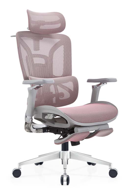 Pink Mesh Ergonomic Reclining Office Chair with Headrest and Footrest ERG-MESH-PNK-FT01