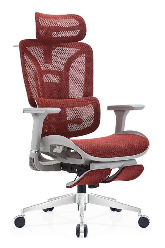 Ergonomic High-Back Mesh Office Chair with Headrest and Retractable Footrest ERC-MESH-RD-FT01