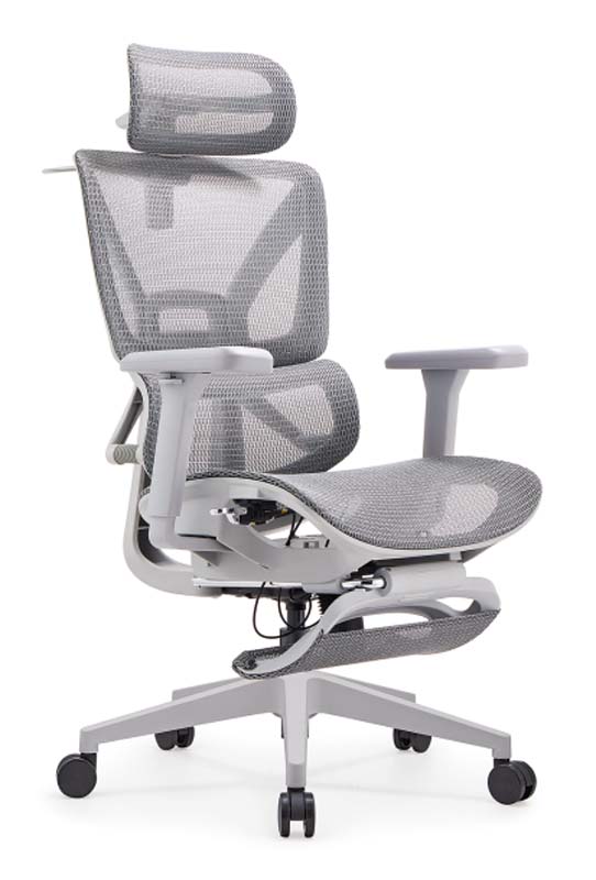 Grey Mesh Ergonomic Office Chair with Headrest and Adjustable Arms EM-GM5D-HR-CAST