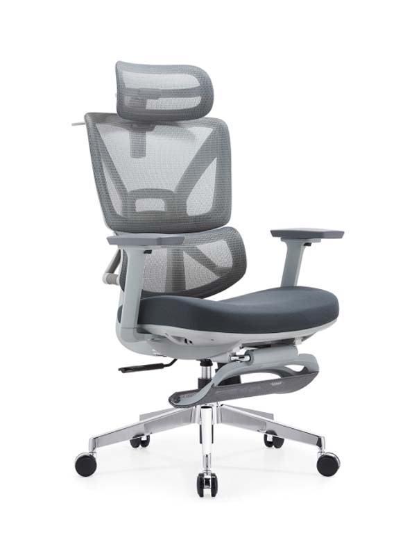 Gray Mesh Ergonomic Office Chair with Headrest and Footrest ERC-MESH-GRY-FT01