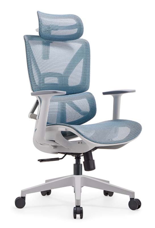 Mesh Ergonomic Office Chair with Headrest and Adjustable Arms ERG-MESH-HR-650