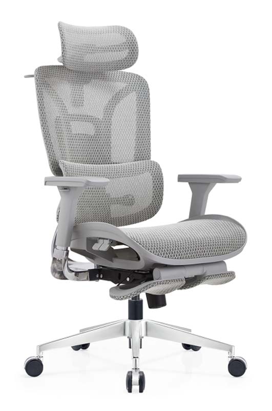Grey Mesh Ergonomic Office Chair with Headrest and Sliding Footrest ERG-MESH-GRY-FR01