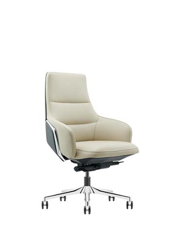 High-Back Padded Executive Swivel Chair EXEC-HB-IVORY-5STAR