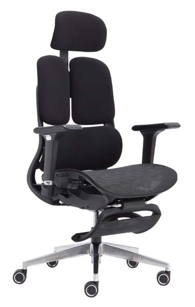 Dual-Back Ergonomic Mesh Office Chair with Adjustable Headrest and Retractable Footrest