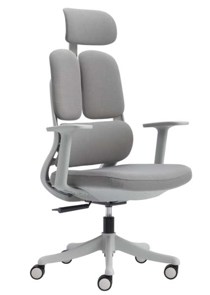Light Grey Dual-Lumbar Ergonomic Office Chair with Headrest