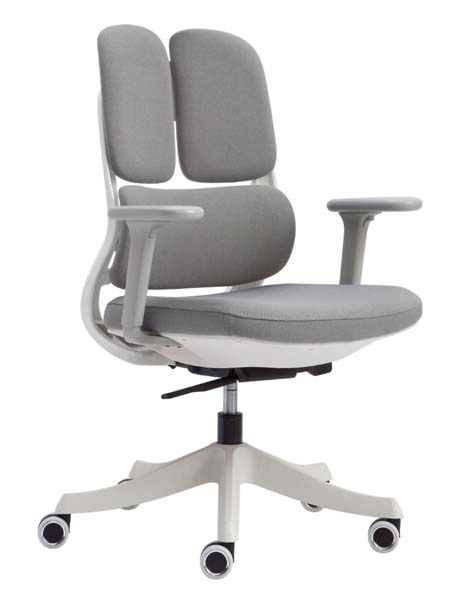 Dual-Back Ergonomic Swivel Office Chair with Height Adjustment