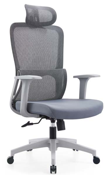 High-back Ergonomic Mesh Office Chair with Headrest