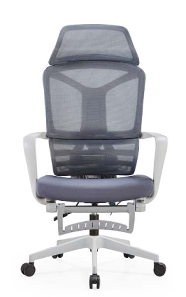 High-Back Mesh Ergonomic Office Chair with Adjustable Headrest and Lumbar Support