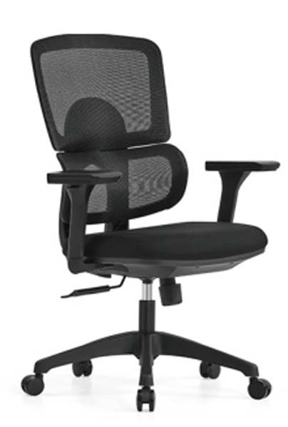 Mid-Back Dual-Lumbar Mesh Ergonomic Office Task Chair
