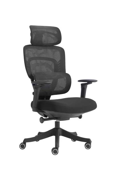 High-Back Black Mesh Ergonomic Office Chair with Adjustable Headrest