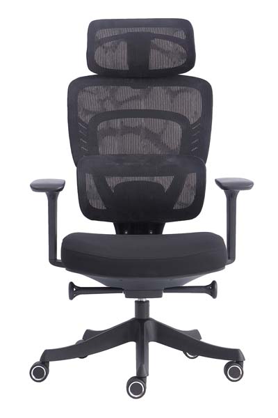 High-Back Black Mesh Ergonomic Office Chair with Adjustable Headrest and Lumbar Support