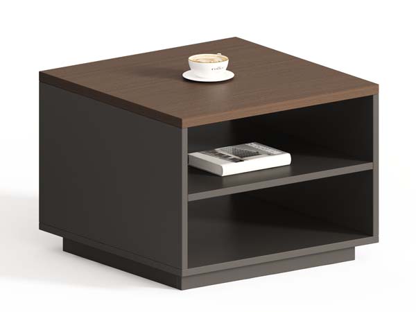Two-Tone Square Coffee Table with Side Open Storage Shelves