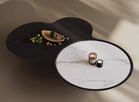 Organic Cloud-Shaped Dual-Top Low Coffee Table