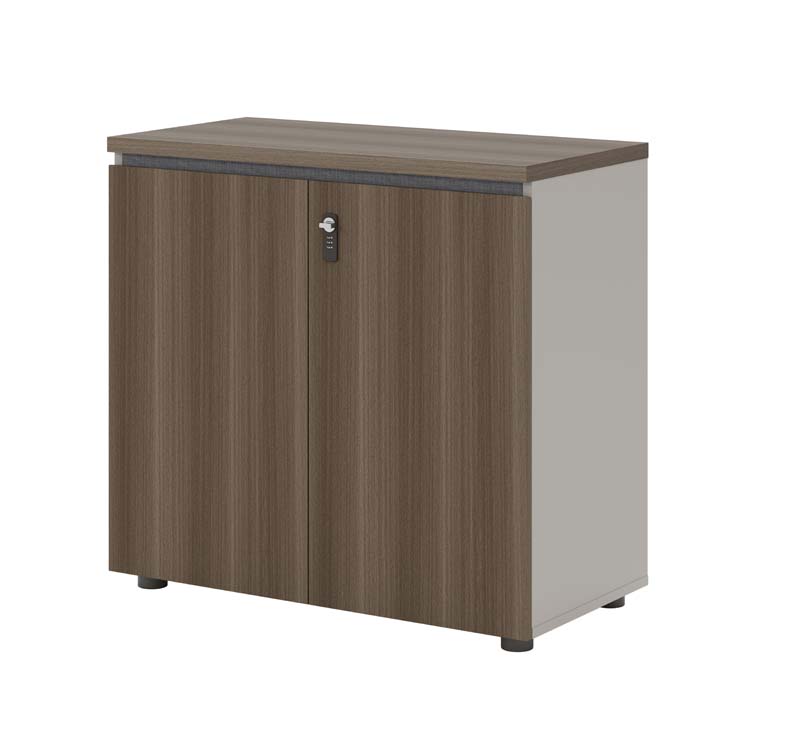 Two-Door Lockable Low Office Storage Cabinet