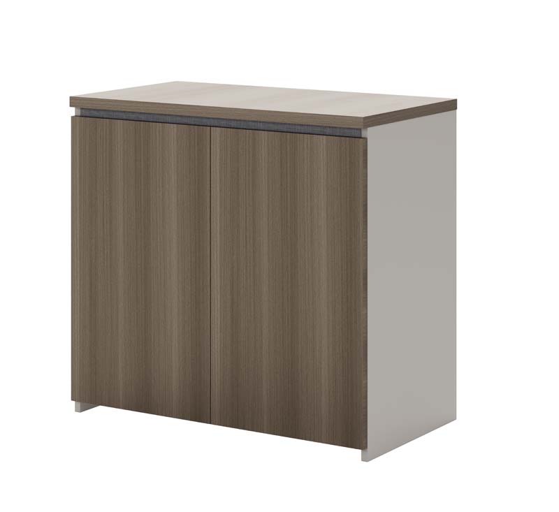 Two-Door Office Storage Cabinet with Contrasting Top