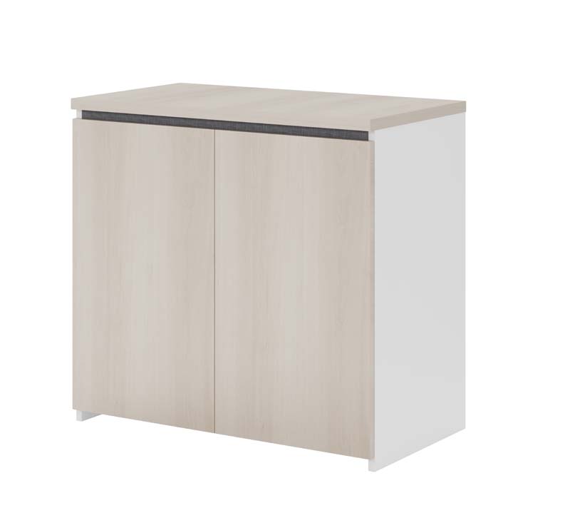 Double-Door Low Storage Cabinet with Light Oak Doors