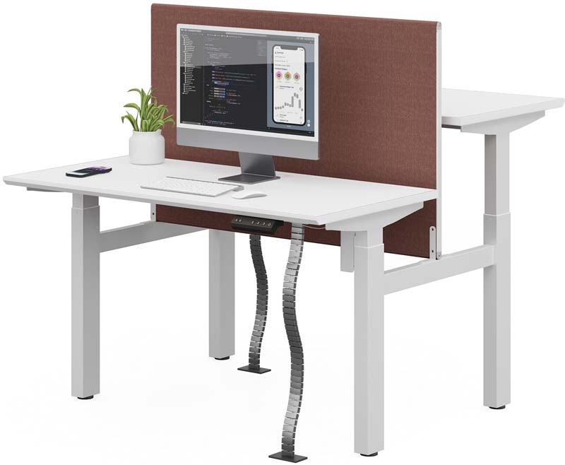 Back-to-Back Dual Electric Height-Adjustable Sit-Stand Workstation with Fabric Privacy Divider