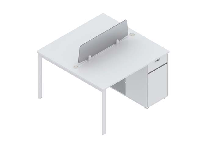 Two-Person Workstation with Center Divider and Mobile Pedestal WS-2P-WHT-1206
