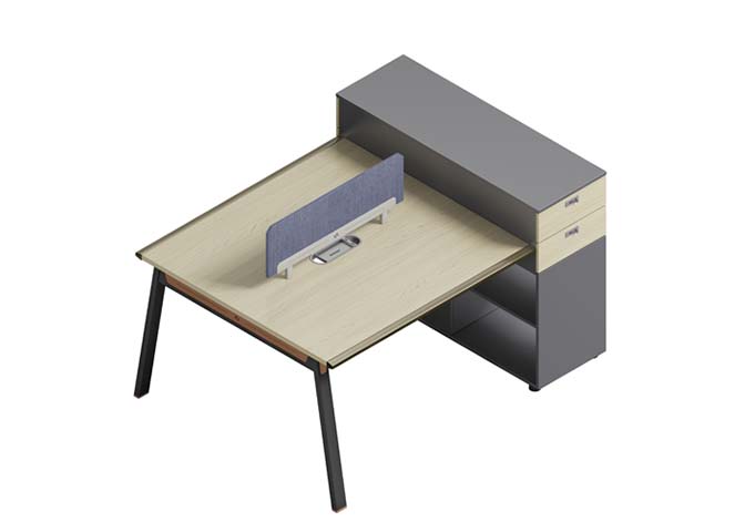 Compact Workstation Desk with Central Divider Screen and Integrated Storage Cabinet WS-1200X600-CAB-DIV