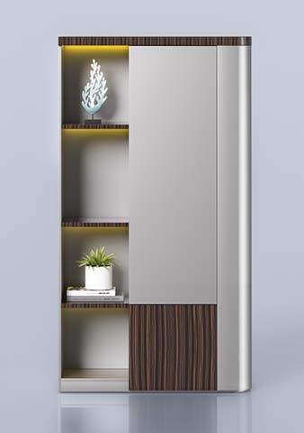 Modern Tall Display Storage Cabinet with LED Open Shelves and Closed Door DC-TALL-0818-LG