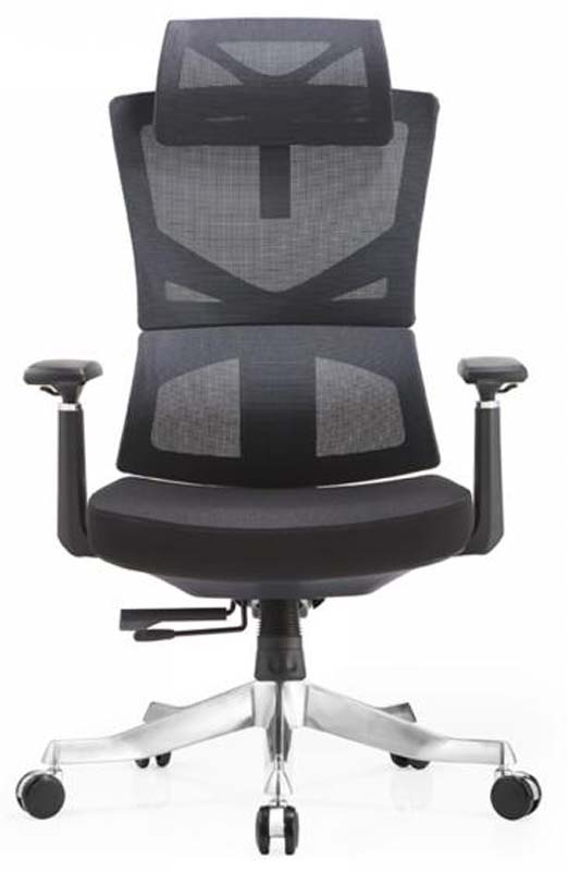 High-Back Mesh Ergonomic Office Chair with Headrest and Aluminum Base EOCH-MESH-HB-AL5