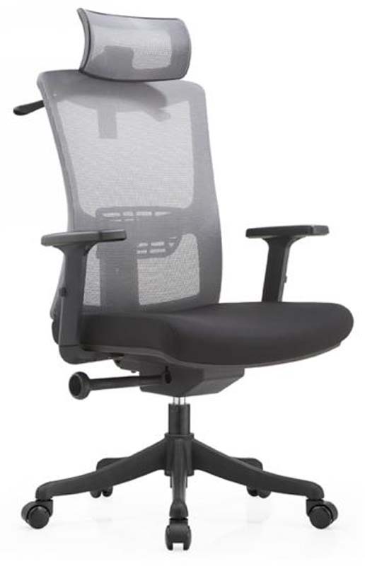 High-Back Mesh Ergonomic Office Chair with Headrest and Adjustable Arms EM-HB-GM-01