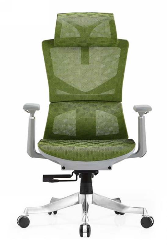 High-Back Green Mesh Ergonomic Office Chair with Headrest and Adjustable Arms EOCH-GMESH-01