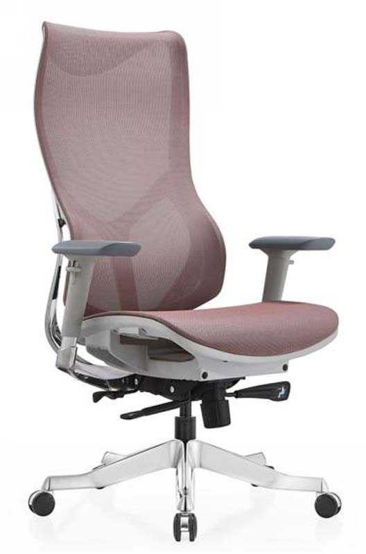 High-Back Ergonomic Mesh Office Chair EOCHB-MESH-AL5-01