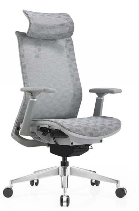 High-Back Mesh Ergonomic Office Chair with Headrest and Adjustable Arms ERC-HB-GRY-01