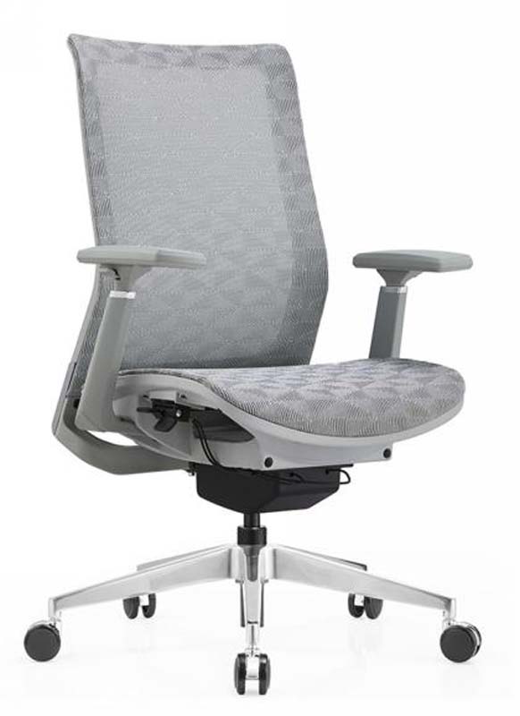 Gray Mesh Swivel Ergonomic Task Chair with Height-Adjustable Arms ETC-MESH-GY-01