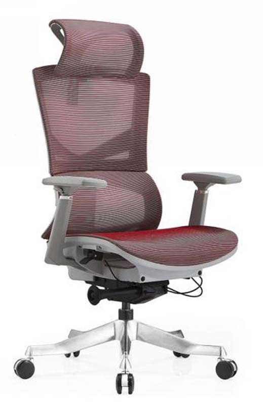 High-Back Mesh Ergonomic Office Chair with Headrest and Aluminum Base ERC-MESH-HB-AL5D-RD