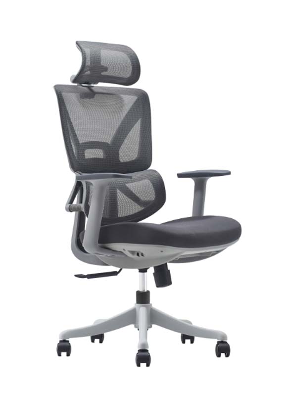 Mesh Ergonomic Office Chair with Adjustable Headrest and Gray Frame EM-OH-GRY-01