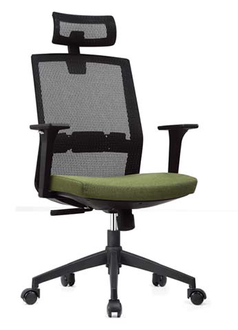 High-Back Ergonomic Mesh Office Chair with Adjustable Lumbar & Headrest