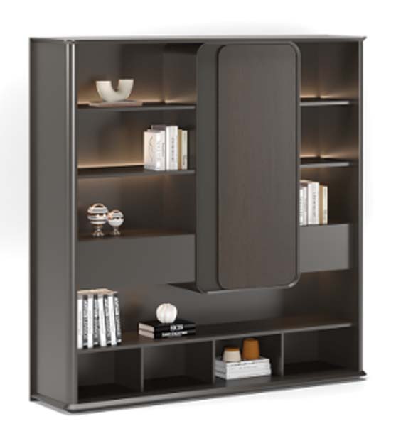 Contemporary Dark Finish Open Display Cabinet with Central Sliding Door and Integrated LED Lighting