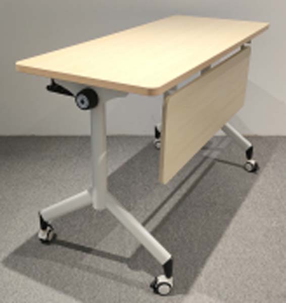 Mobile Height-Adjustable Tilting Training Table