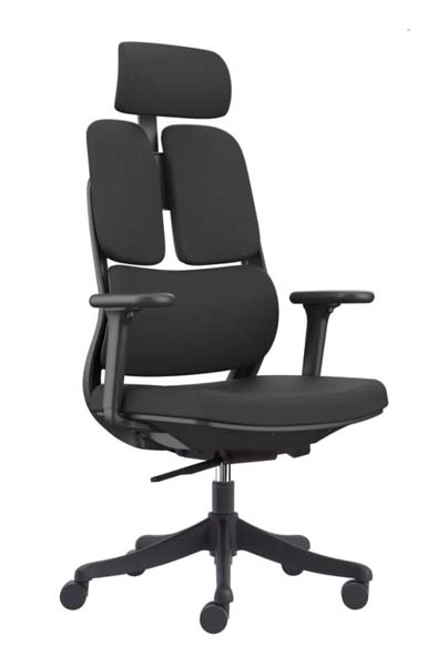 Black Dual-Pad Back Ergonomic Office Chair with Adjustable Headrest