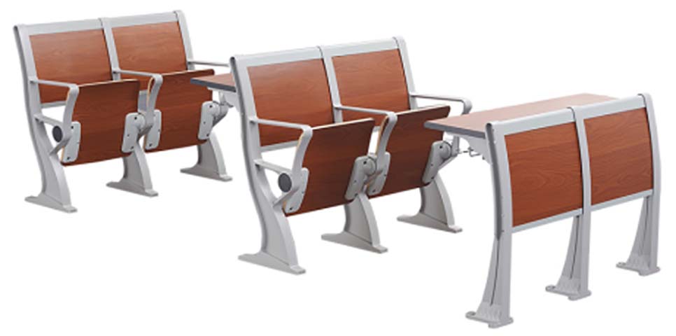 Fixed Tiered Lecture Hall Seating with Flip-Up Seats and Integrated Continuous Front Writing Tables