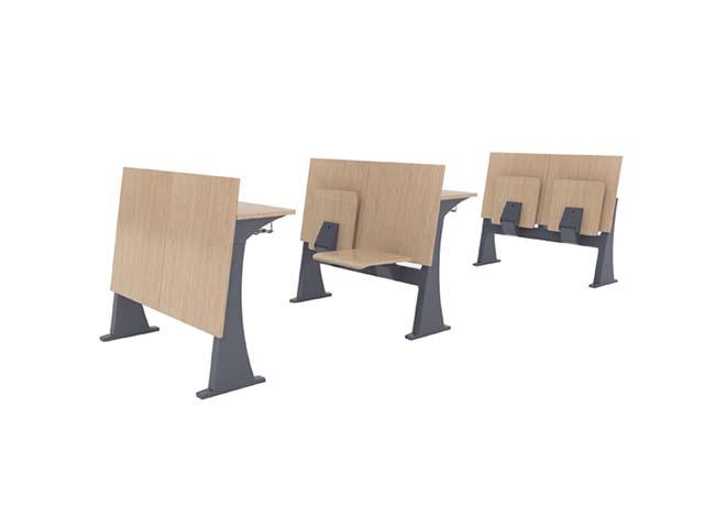2-Seat Fixed Tiered Lecture Hall Desk-Chair Unit with Tip-Up Seats