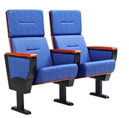 Two-Seat Ganged Fixed Floor-Mounted Auditorium Chair