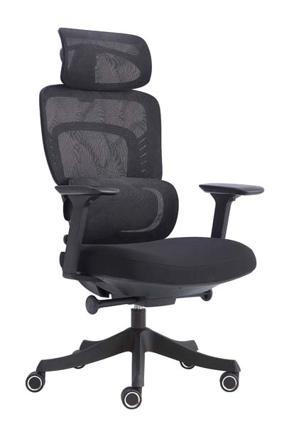 High-Back Ergonomic Mesh Office Chair with Adjustable Headrest and Lumbar Support