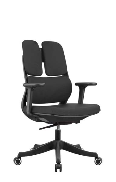 Black Split Dual-Back Ergonomic Office Task Chair