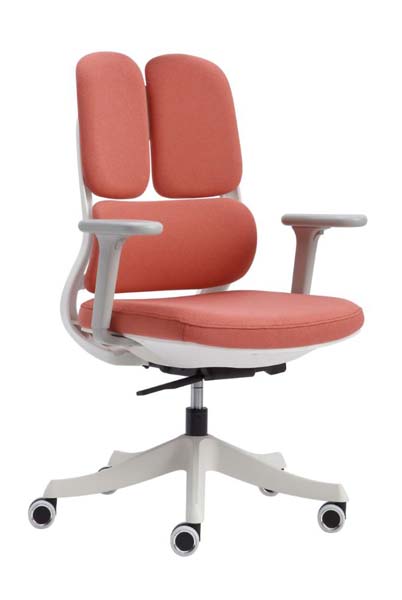 Dual-back Ergonomic Swivel Office Chair with Padded Arms