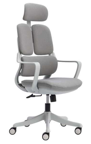 High-Back Ergonomic Mesh Office Chair with Separate Lumbar Support and Headrest