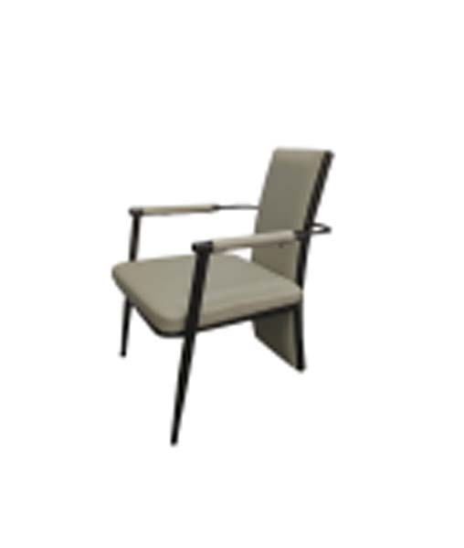 Modern Upholstered Dining Armchair with Matte Black Metal Frame