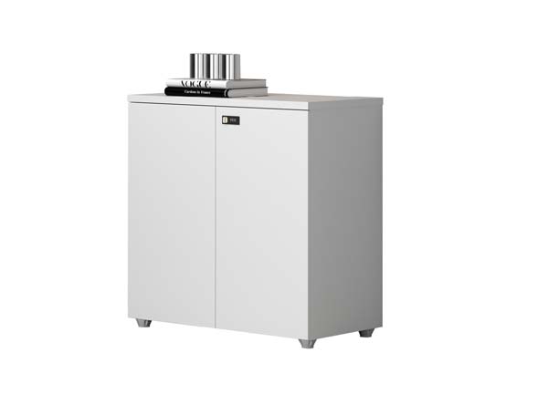 Low-Height Double-Door Lockable Office Storage Cabinet