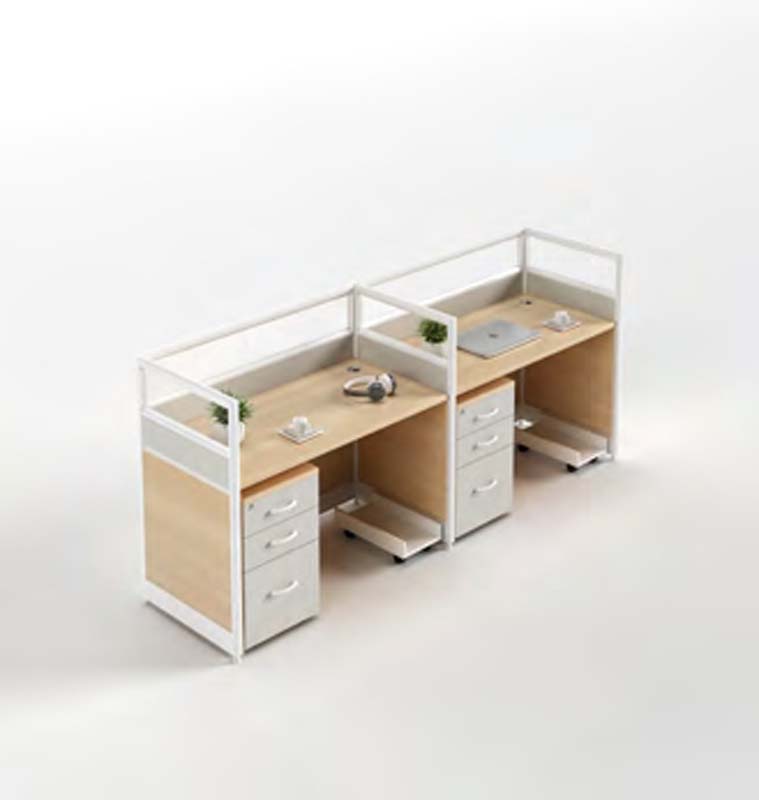 Two-Person Linear Office Workstation with Dividers, Drawer Pedestals and CPU Trays