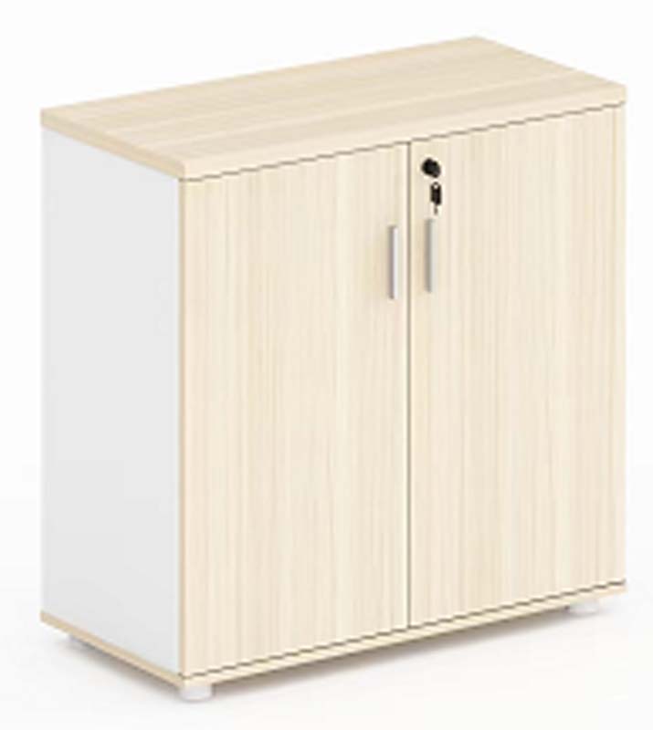 Low 2-Door Locking Office Storage Cabinet