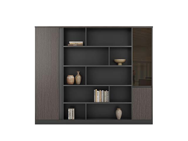 Modern Mixed Door Office Display Bookcase